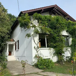 In The Near The Airport, Share Bathroom And Share Kitchen Guest house Le Grand Saconnex