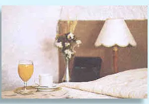 Le Grenil 3* Ginevra
